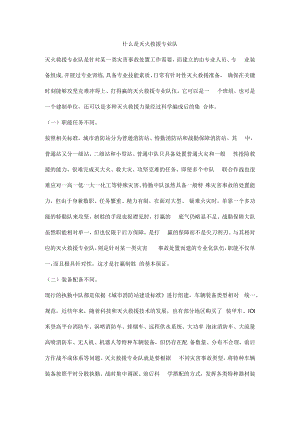 什么是灭火救援专业队.docx