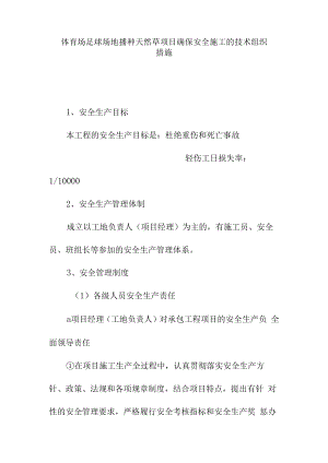 体育场足球场地播种天然草项目确保安全施工的技术组织措施.docx