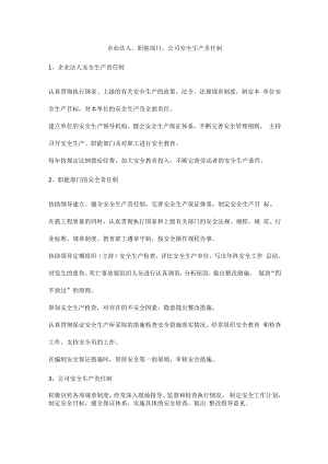 企业法人、职能部门、公司安全生产责任制.docx