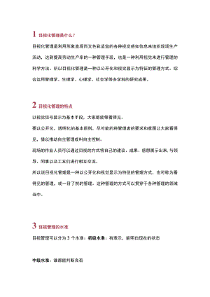 做好目视化管理的13个步骤.docx