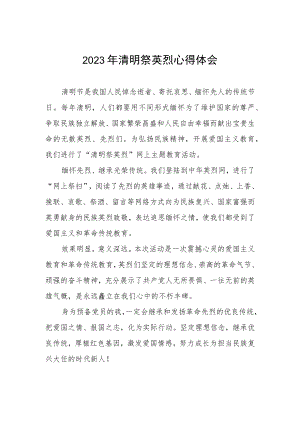 2023年清明祭英烈心得感悟.docx