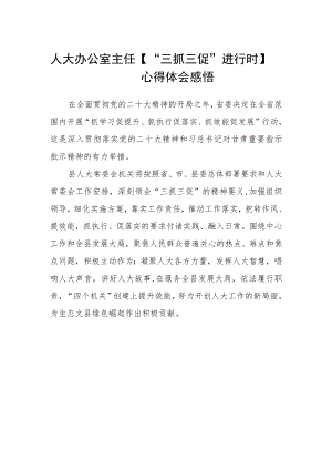 人大办公室主任 【“三抓三促”进行时】心得体会感悟.docx