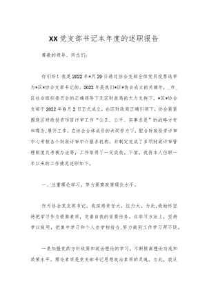 XX党支部书记本年度的述职报告.docx