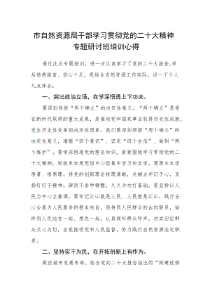市自然资源局干部学习贯彻党的二十大精神专题研讨班培训心得.docx