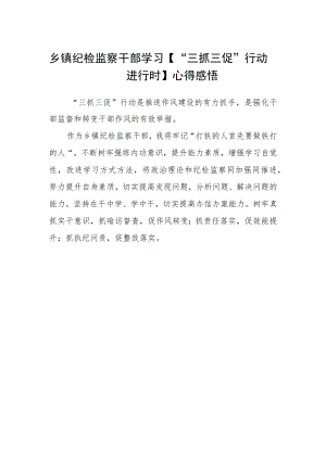 乡镇纪检监察干部学习【“三抓三促”行动进行时】心得感悟.docx