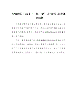 乡镇领导干部【“三抓三促”进行时】心得体会感悟.docx