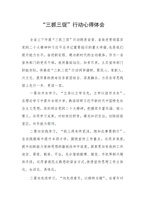 党员干部落实“三抓三促”行动心得体会.docx