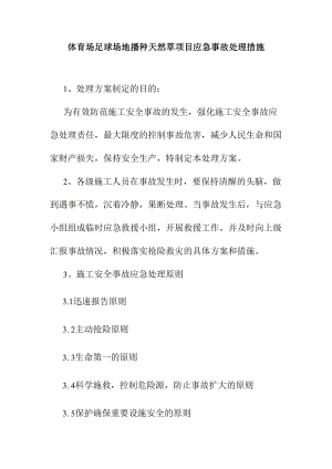 体育场足球场地播种天然草项目应急事故处理措施.docx