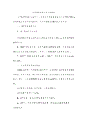 公司消防安全工作自查报告.docx