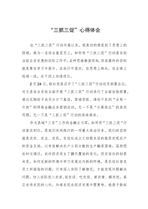 党员干部关于落实“三抓三促”行动心得体会三篇.docx