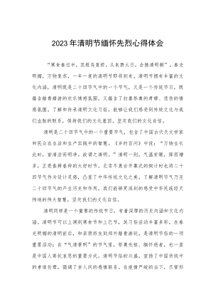 2023年关于清明节缅怀先烈的心得体会.docx