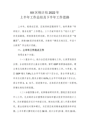 XX区统计局2022年上半年工作总结及下半年工作思路.docx