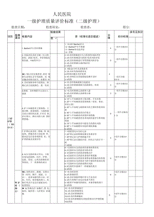 二级护理质量评价标准.docx