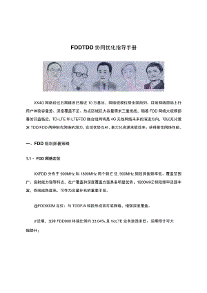 FDDTDD协同优化指导手册.docx