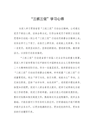 “三抓三促”行动学习心得体会三篇样本.docx