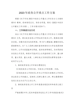 2023年政务公开重点工作方案.docx