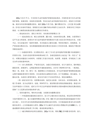中央生态环境保护督察整改落实情况报告.docx