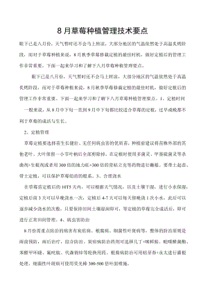 8月草莓种植管理技术要点.docx