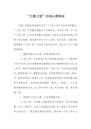 “三抓三促”行动心得体会.docx