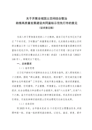 关于开展全域国土空间综合整治助推高质量发展建设共同富裕先行市的意见.docx
