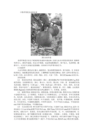 中熟苹果优良品种未希与影响苹果品质的要素及关键生产技术探讨分析.docx
