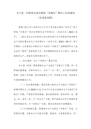 关于进一步推进乐清市耕地“非粮化”整治工作的通知（征求意见稿）.docx