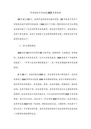 公文写作之报告87市委党校中青班赴XXX考察报告.docx