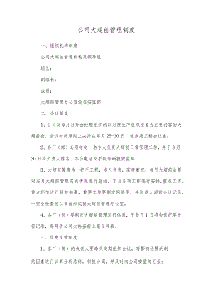 公司大超前管理制度.docx