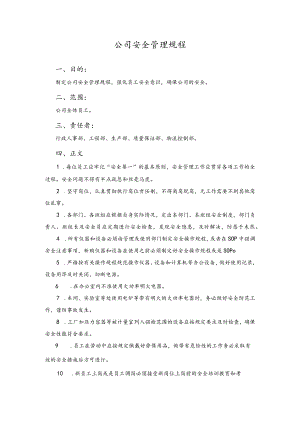 公司安全管理规程.docx