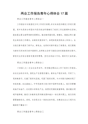 两会工作报告青年心得体会17篇.docx