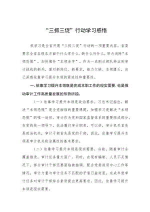 党员干部关于落实三抓三促行动心得体会.docx