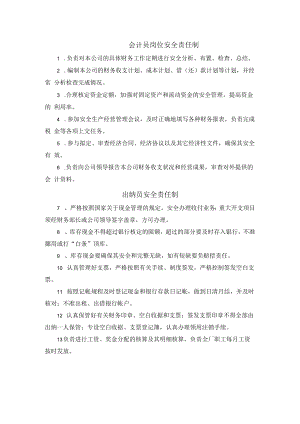 会计员岗位&出纳员安全责任制.docx