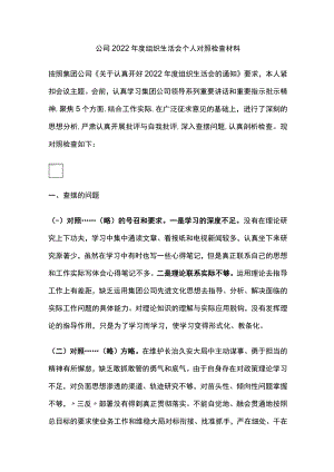 公司2022年度组织生活会个人对照检查材料.docx