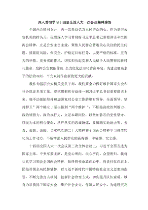 乡镇学校教师深入贯彻学习十四届全国人大一次会议精神心得感悟合计6份.docx