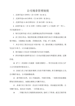 公司规章管理制度.docx