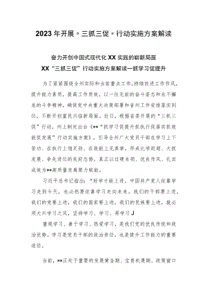 2023年开展“三抓三促”行动实施方案解读.docx