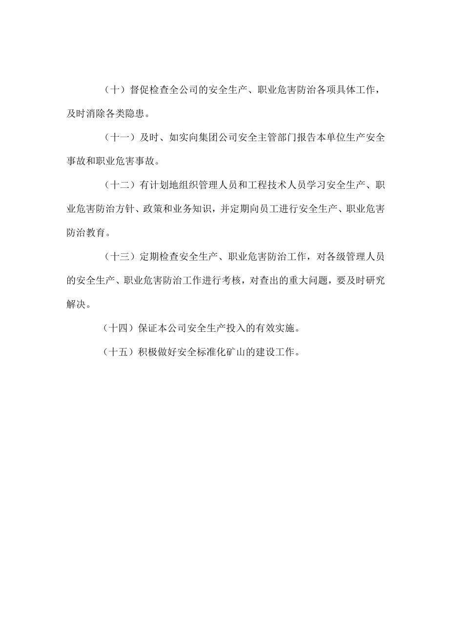 公司经理安全生产、职业危害防治职责.docx_第2页