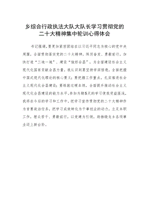 乡综合行政执法大队大队长学习贯彻党的二十大精神集中轮训心得体会.docx