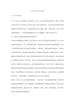 公司安全生产活动安排.docx