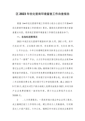 区2023年优化营商环境督查工作自查报告.docx