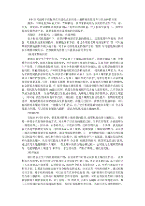 乡村振兴战略下高标准农田建设及农用地土壤耕地质量提升与农业种植方案.docx
