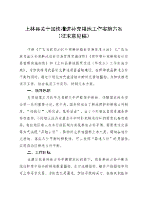 关于加快推进补充耕地工作实施方案.docx