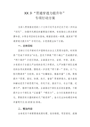 XX乡“贯通穿透力提升年”专项行动方案.docx