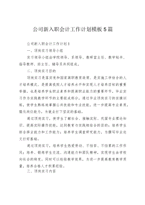 公司新入职会计工作计划模板5篇.docx