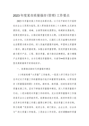 2023年度某市质量强市.docx
