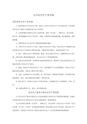 公司安全生产责任制.docx