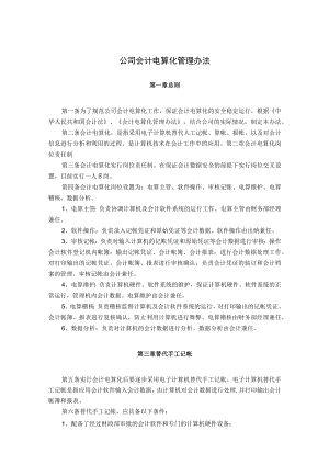 公司会计电算化管理办法.docx