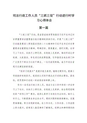 司法行政工作人员“三抓三促”行动进行时学习心得体会八篇.docx