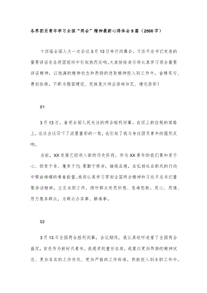 各界团员青年学习全国“两会”精神最新心得体会9篇（2500字）.docx