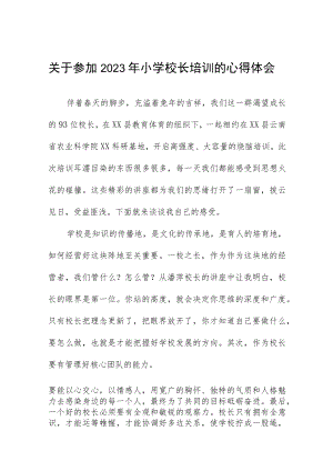 关于2023年小学校长培训的心得体会三篇范本.docx